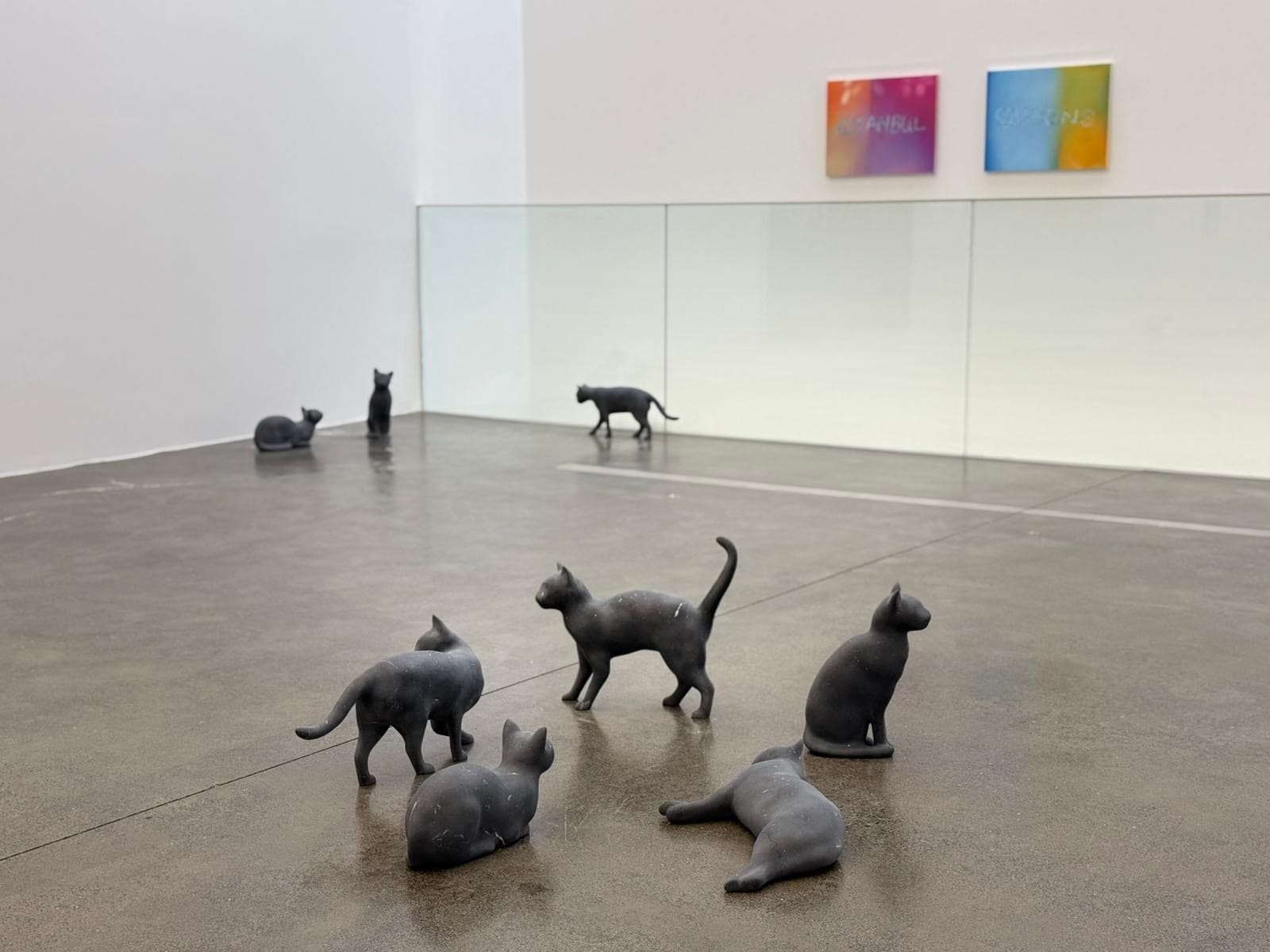 Ryan Gander Pussies And Places Sergi Alanindan