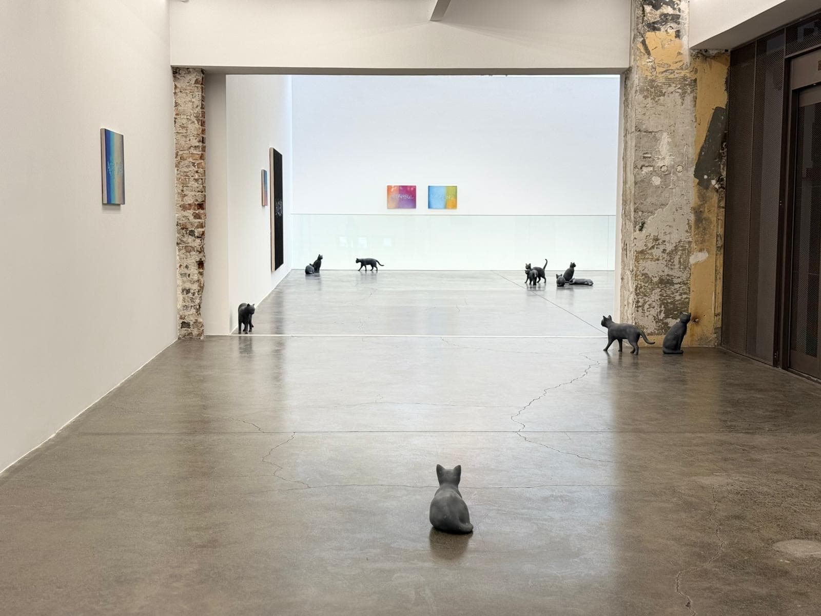 Ryan Gander Pussies And Places Sergi Alanindan