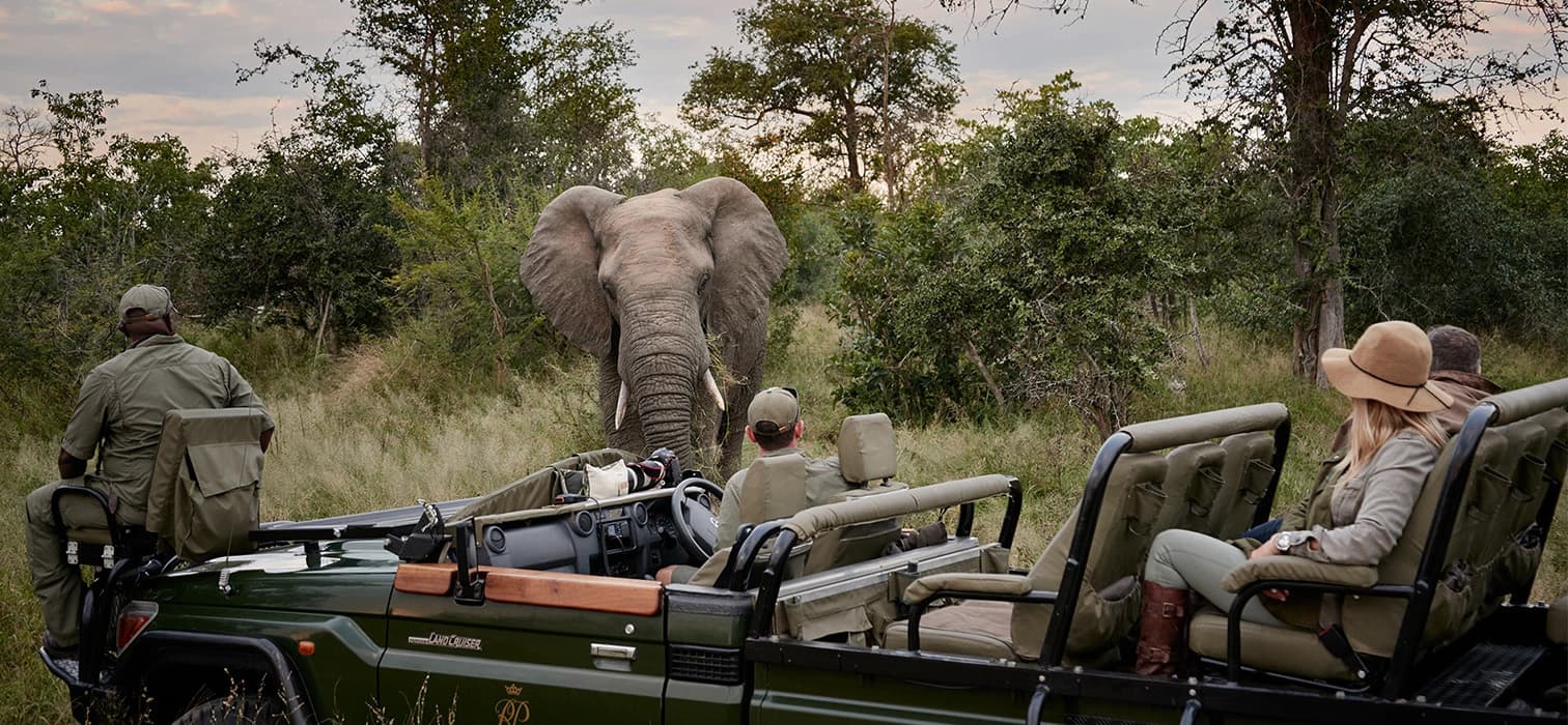 Yılın En Yeni Safari Kampları