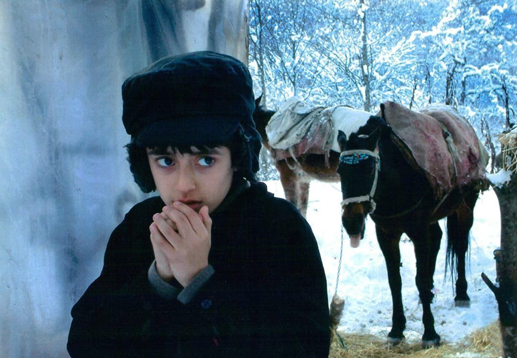 iran sinemasinin en iyi filmleri drunken horses2