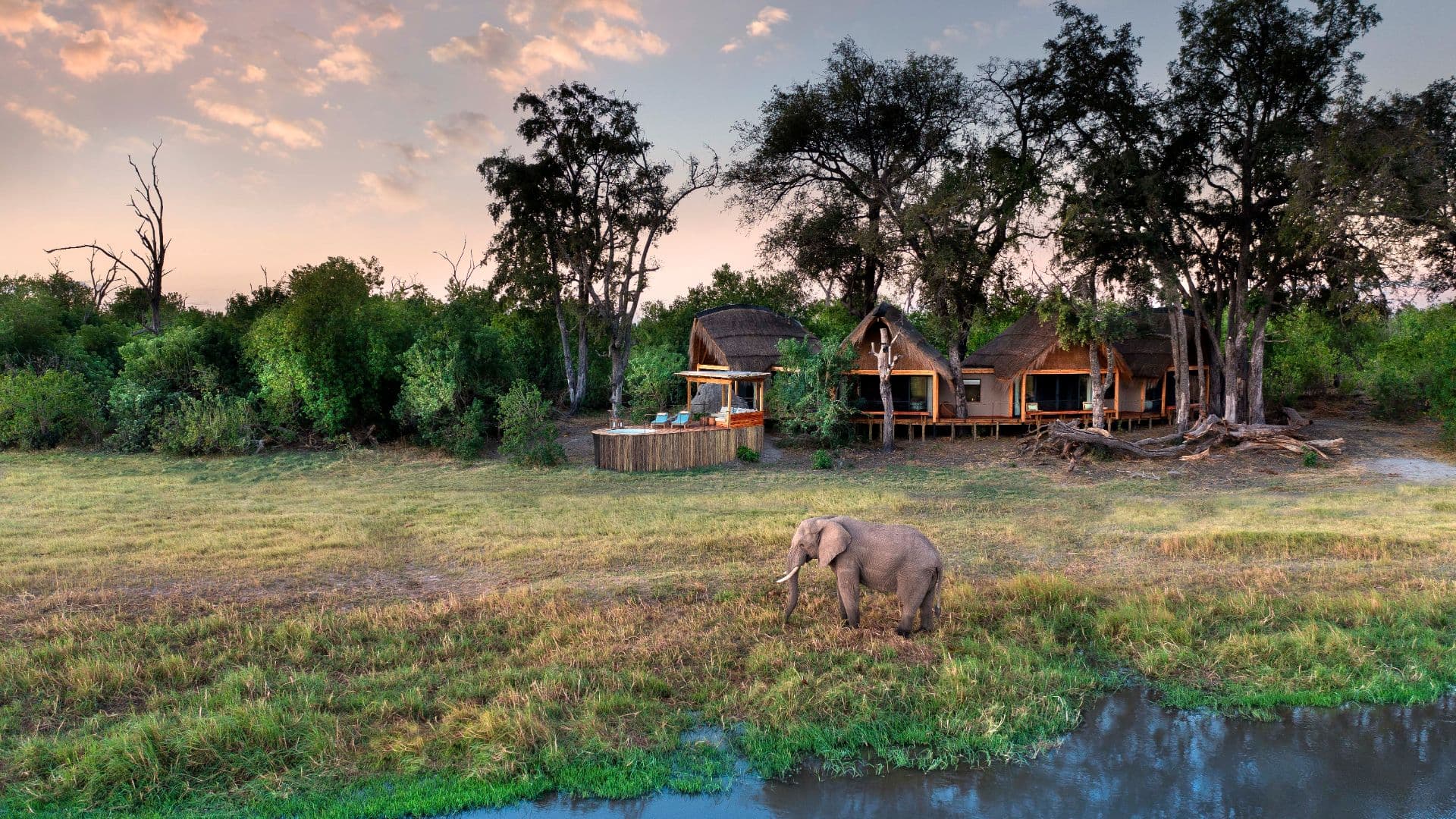 yilin en yeni safari kamplari Tawana1