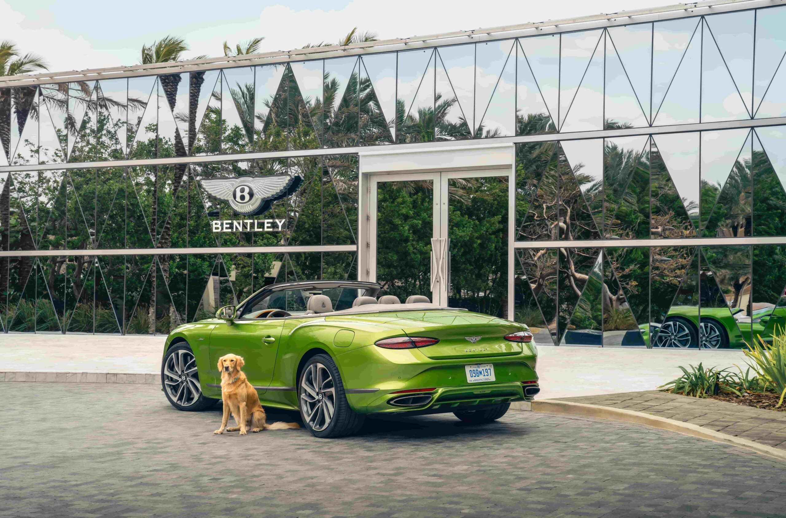 Bentley Miam