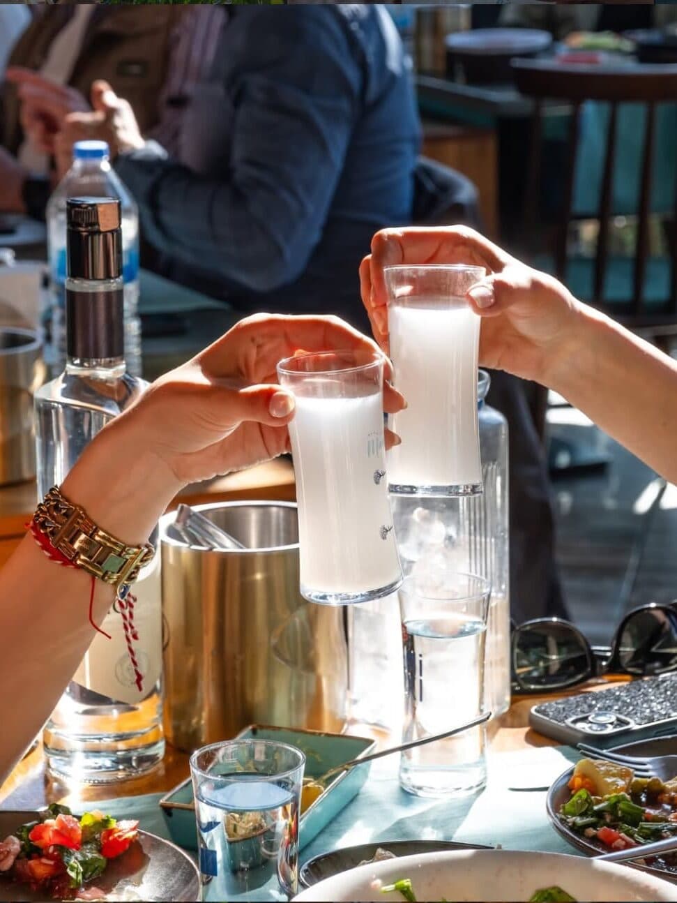 ankaranin en iyi meyhaneleri manolis 02 edited