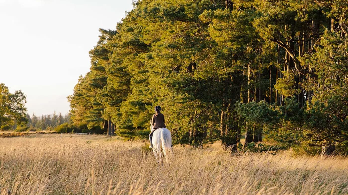 atlarla tatil Gleneagles1