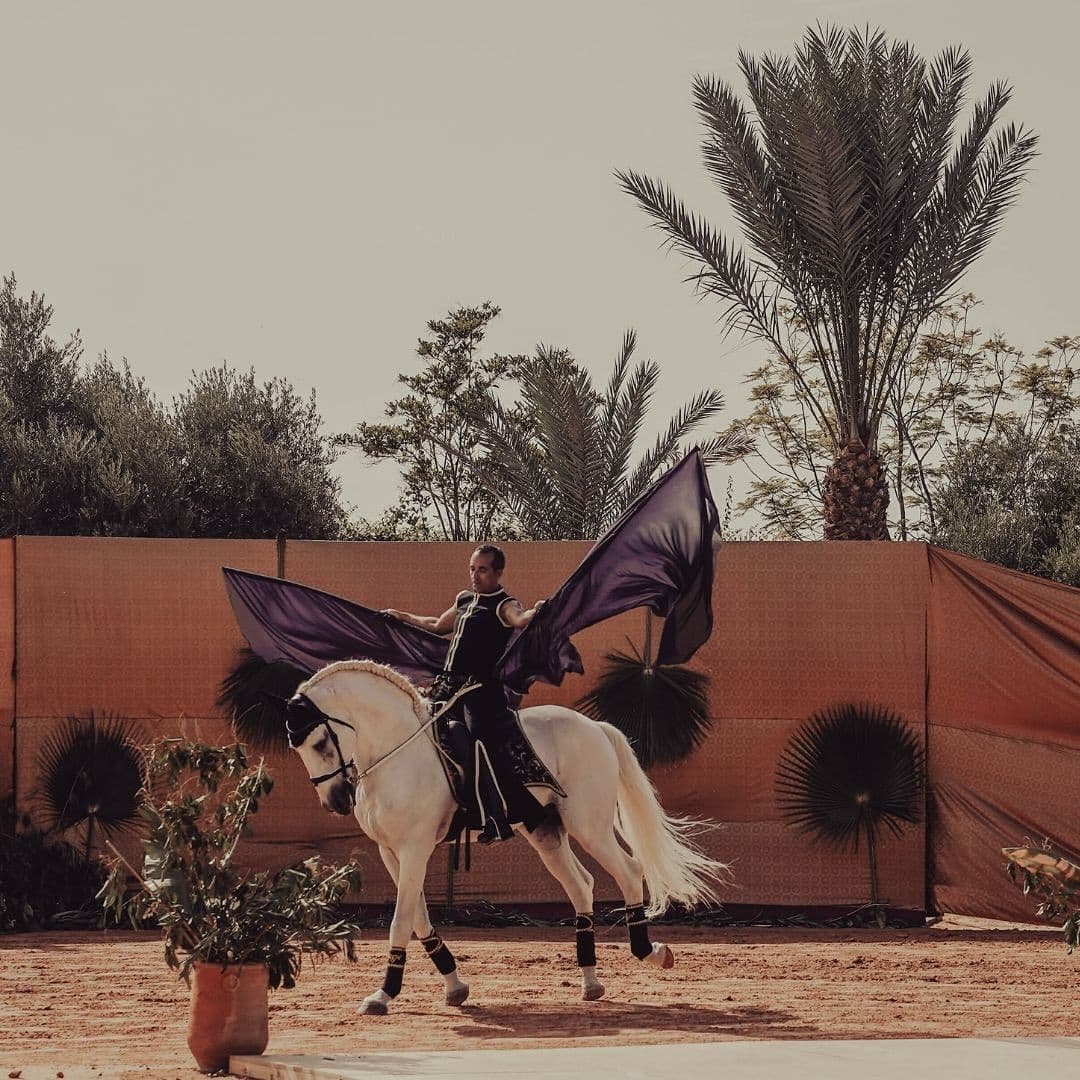 atlarla tatil Selman1