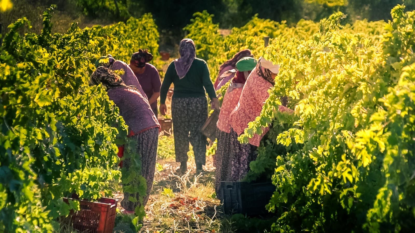 mozaik sarapcilik 01