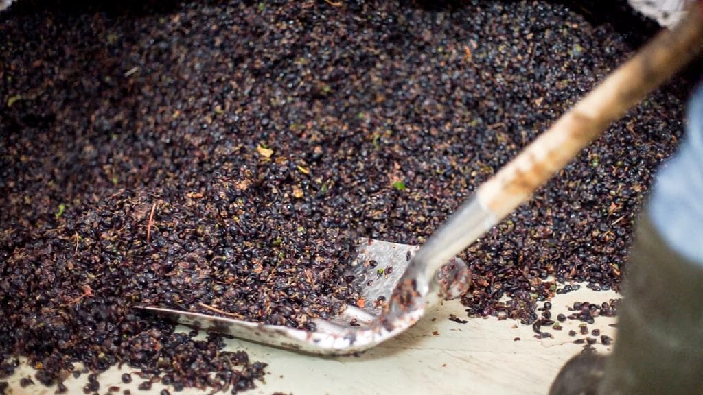 mozaik sarapcilik 06