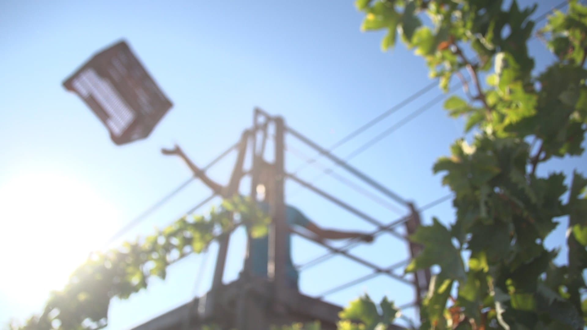 mozaik sarapcilik 12