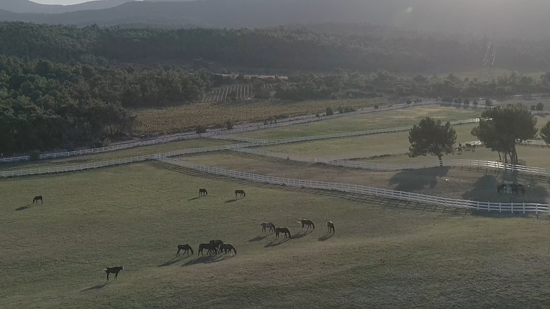 mozaik sarapcilik 13