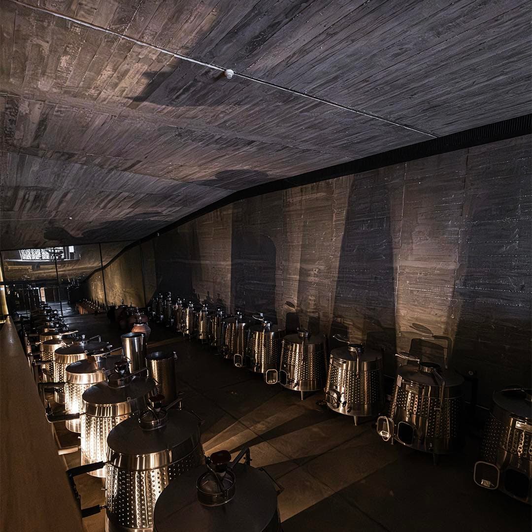 sarap tadimi yaparken bilmeniz gerekenler vasbos 01