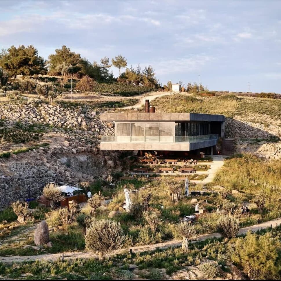 sarap tadimi yaparken bilmeniz gerekenler vasbos 02 edited