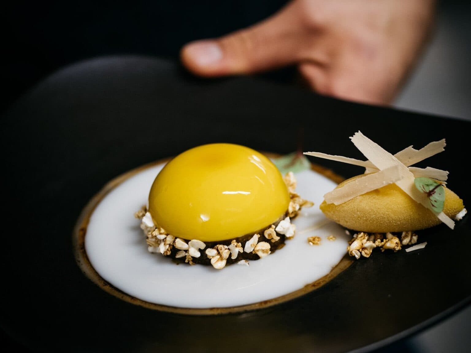 Viyana'nın Öne Çıkan Restoranları