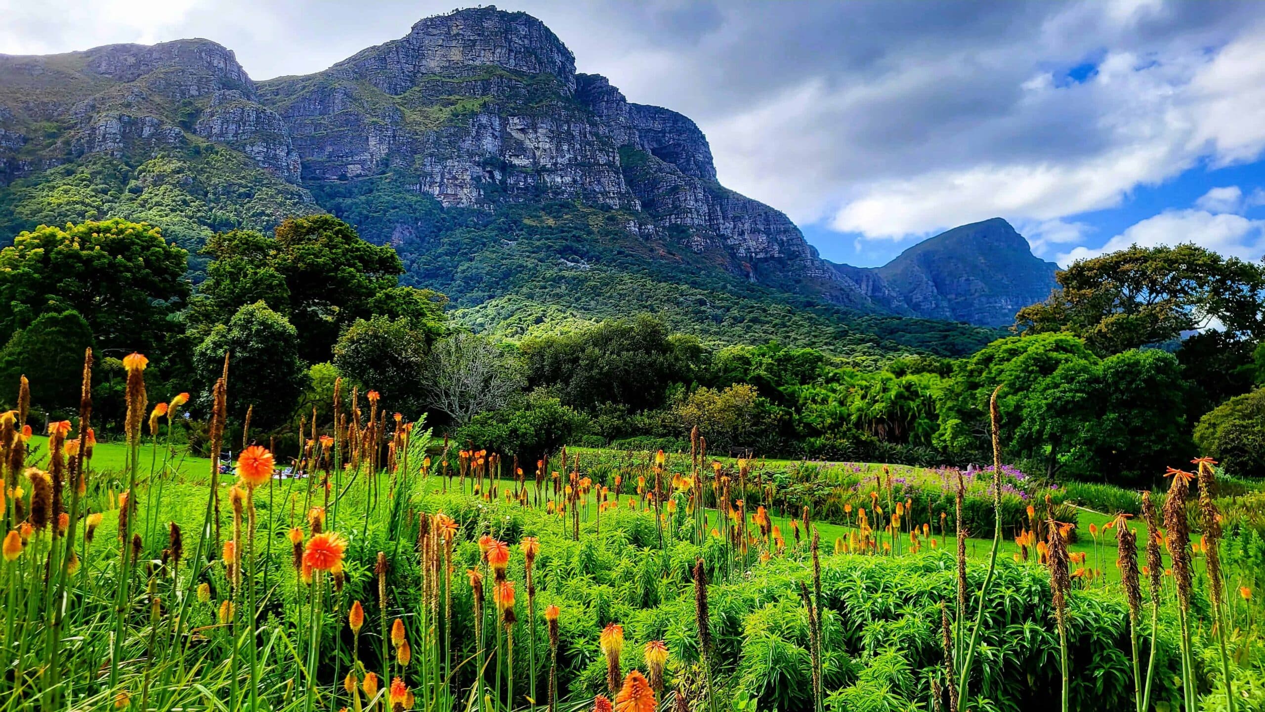 dunyanin en guzel bahceleri kirstenbosch 1
