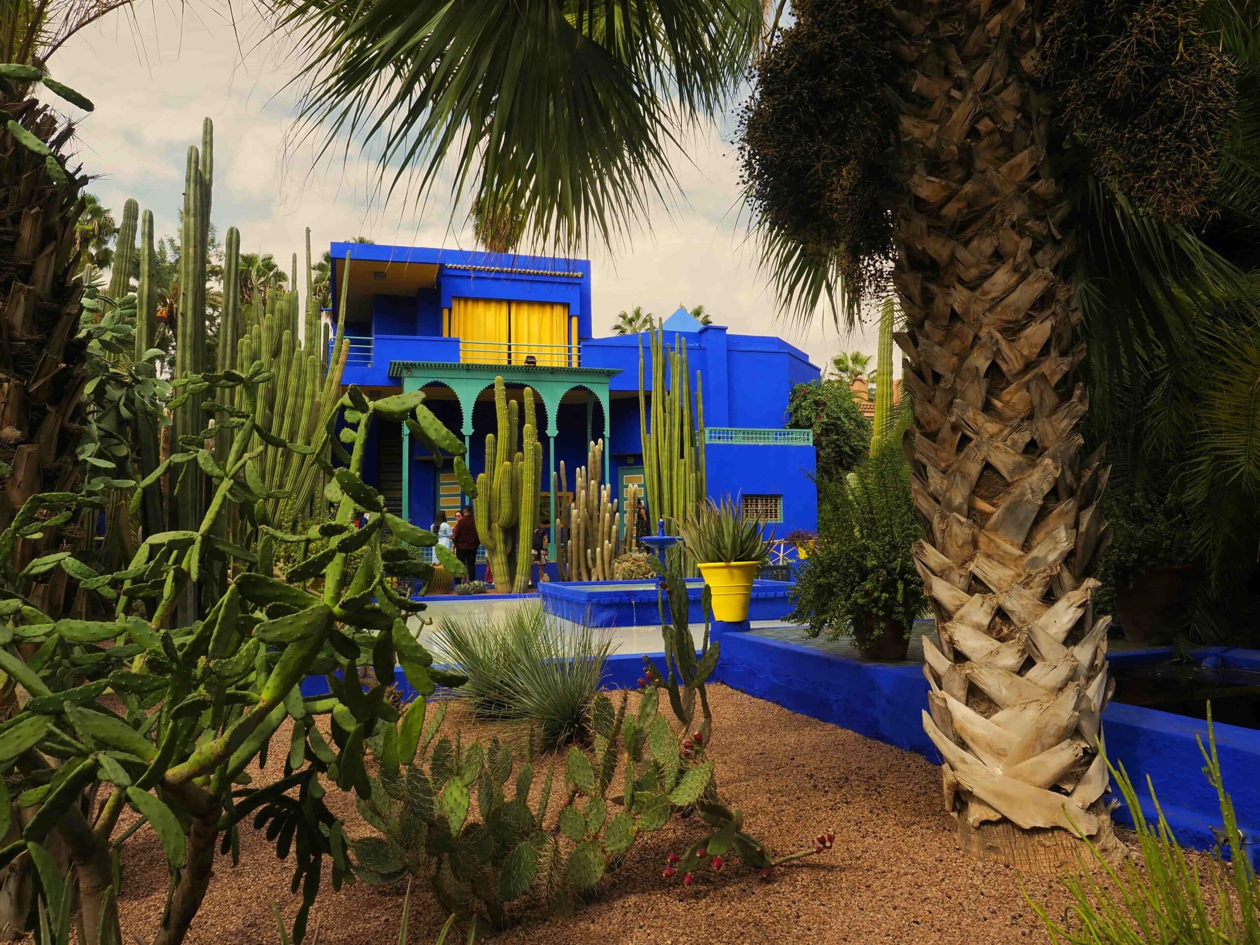dunyanin en guzel bahceleri majorelle 1