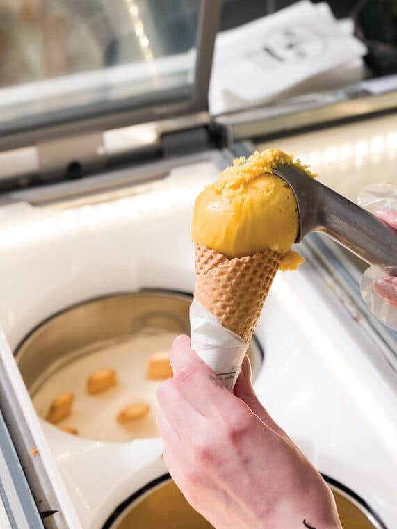 İce Co Gelato1