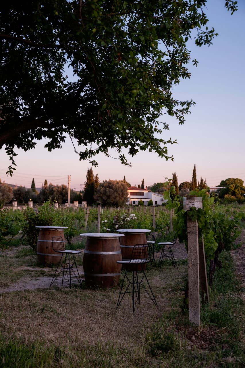 Urlice Turkeywine Urla Nyt