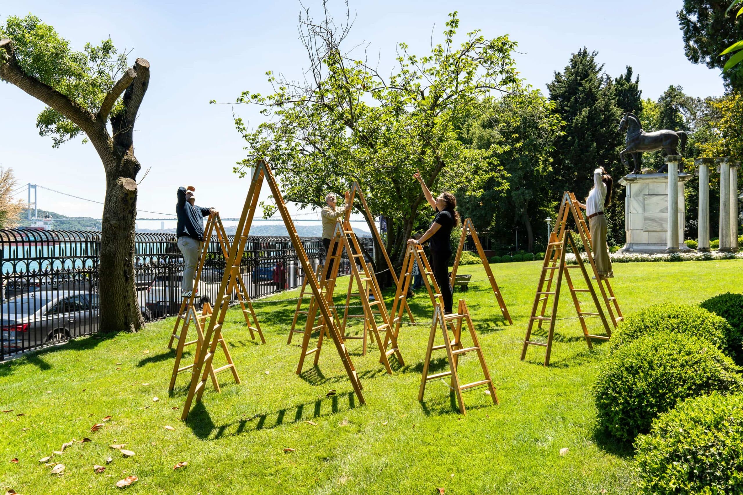 Yoko Ono Gokyuzu Merdivenleri Skyladders