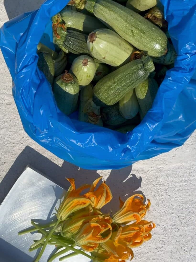 Yunan Adaları’nın En Yeni Restoranları