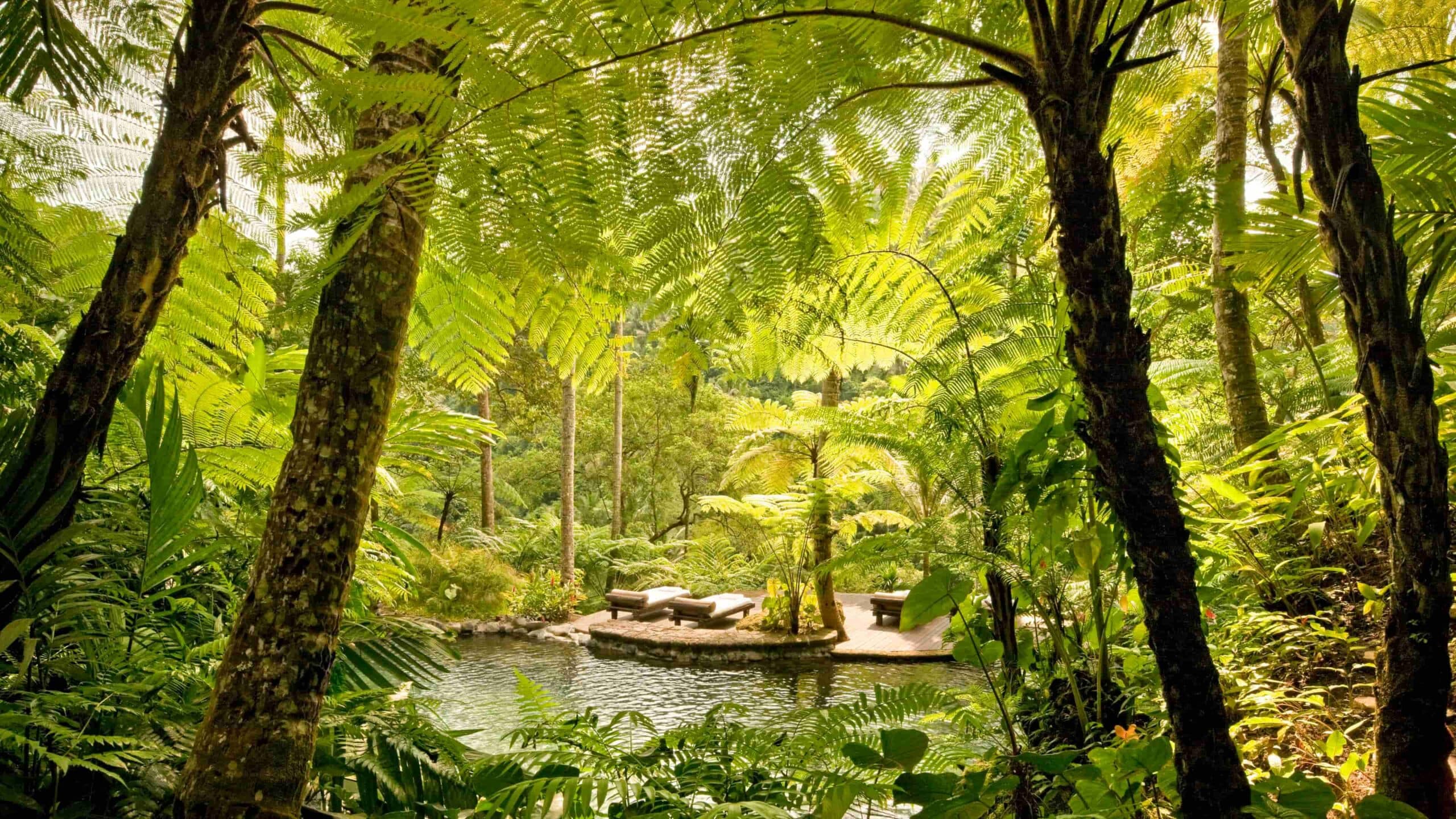 Como Kedara Water Garden 2 4k