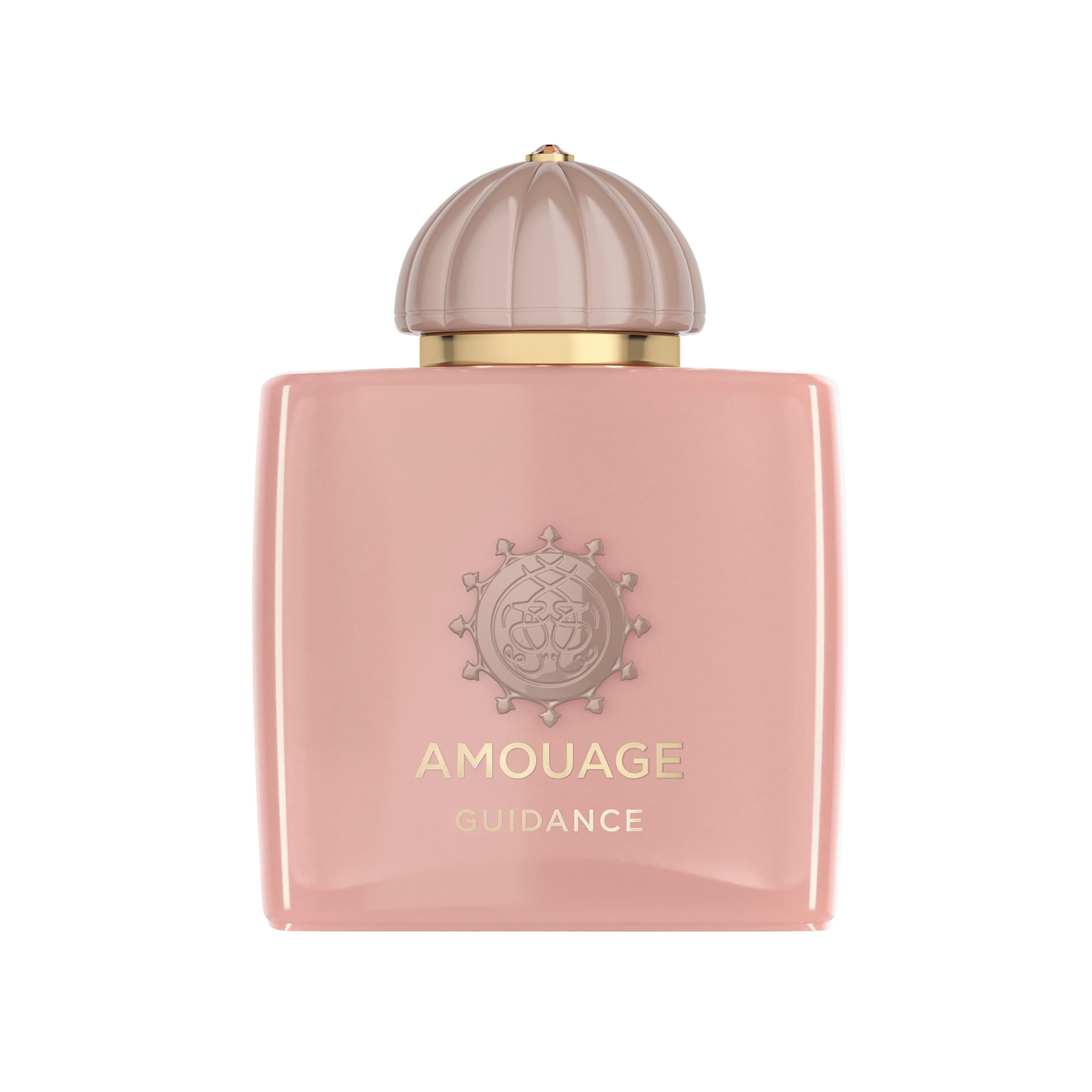 Amouage Guidance