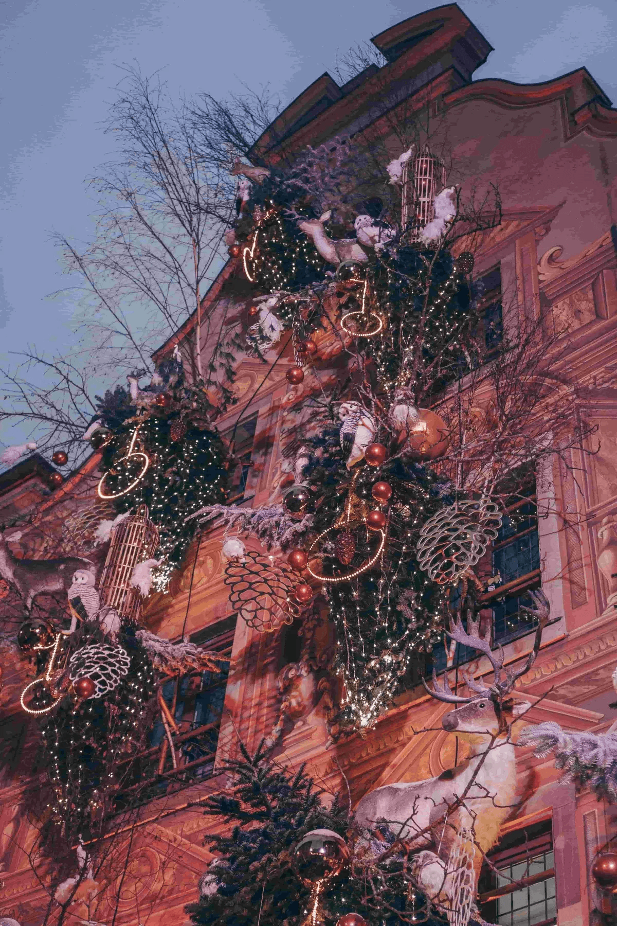 The Most Magical Christmas Markets in Europe