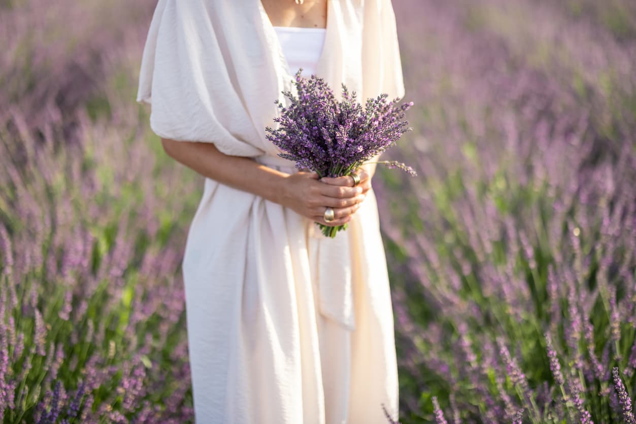 anlamlarina gore gelin cicekleri lavanta