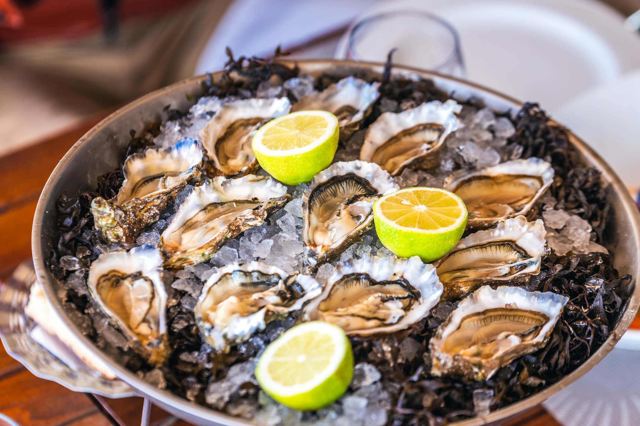 13 balayi rotasi Oualidia