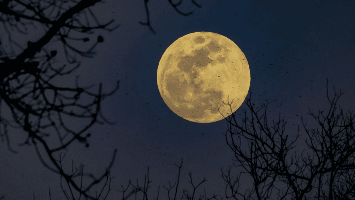 2 Nisan Terazi Dolunayı: Denge Arayışının Zirve Noktası