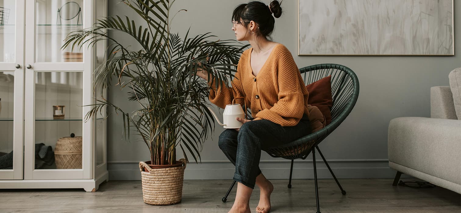 Evde Kolayca Yetiştirebileceğiniz 9 Bitki