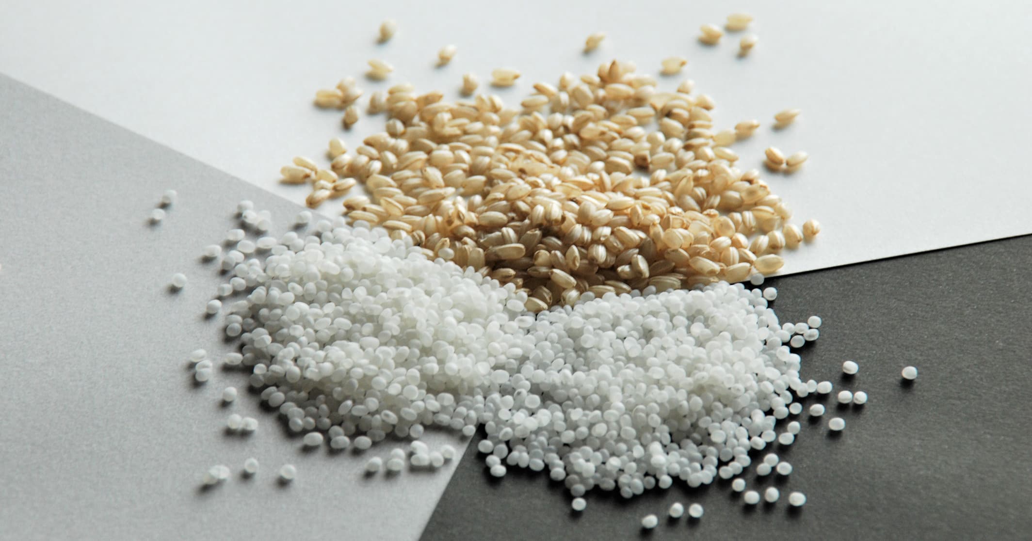 sake nasil icilir dassai