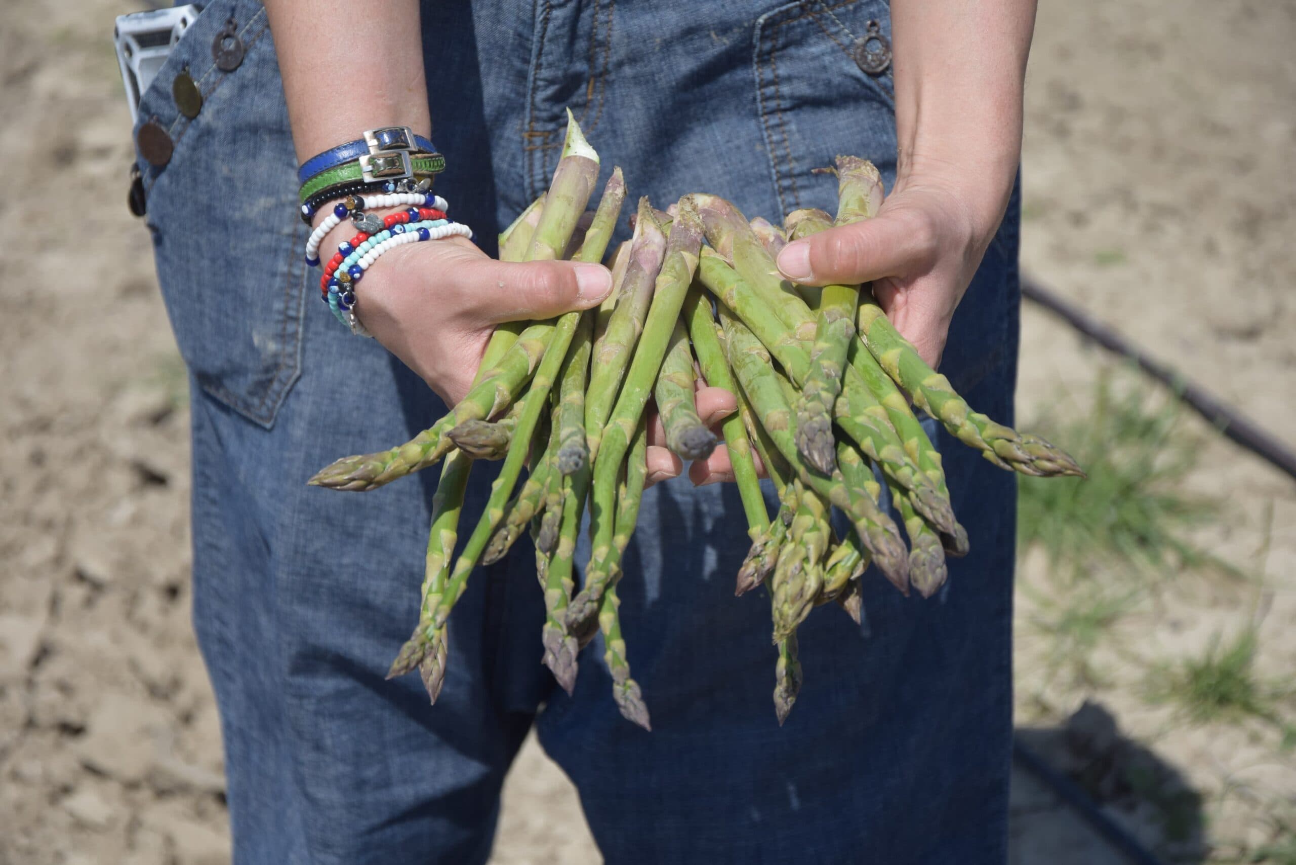 Elibelinde Tarım kurucusu Aslı Aksoy