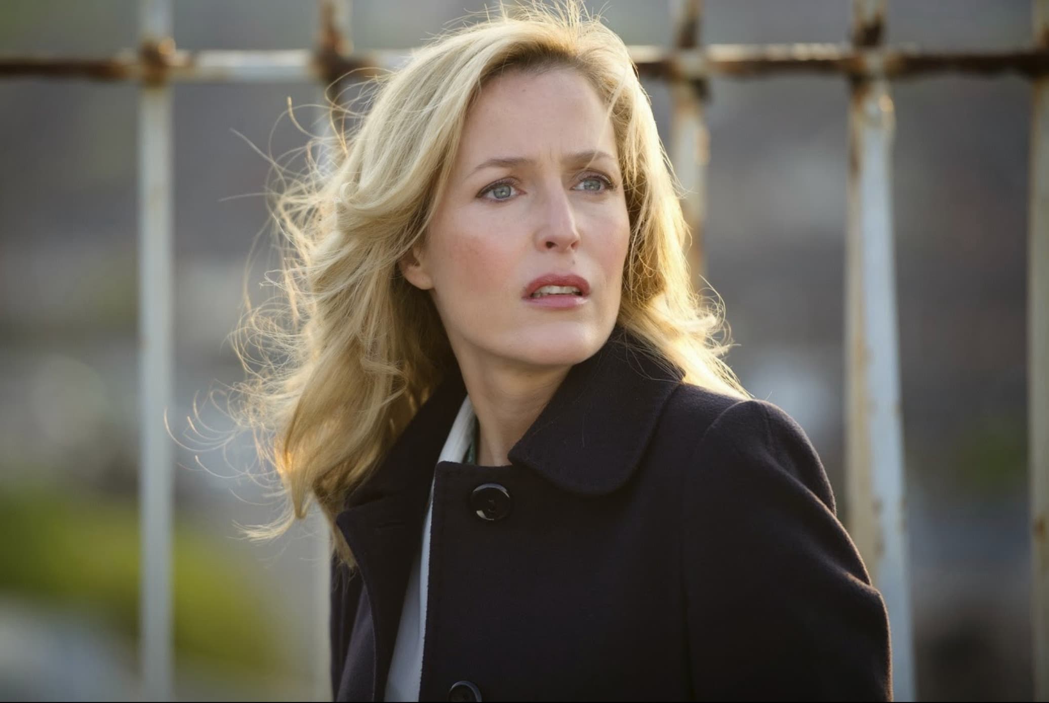 en tuhaf dedektifler stella gibson