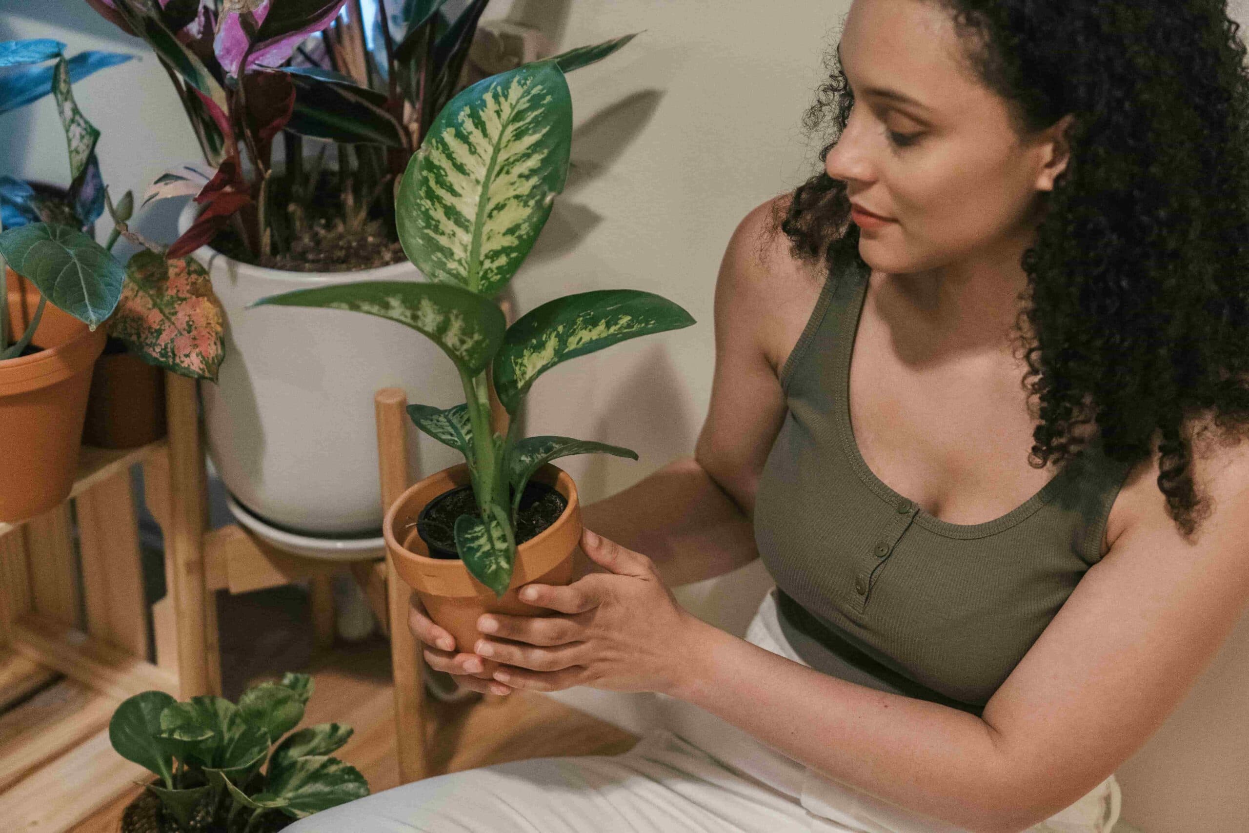 Evde Kolayca Yetiştirebileceğiniz 9 Bitki