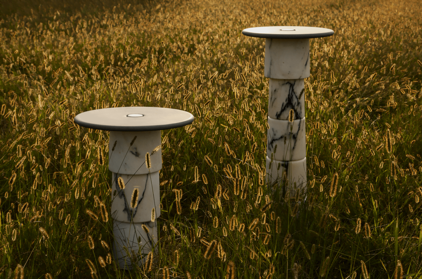 Form and Function Equation