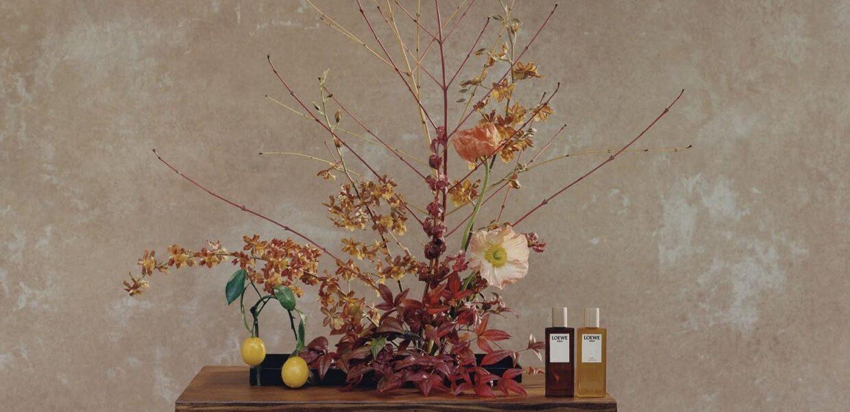 Modern Notes of Loewe