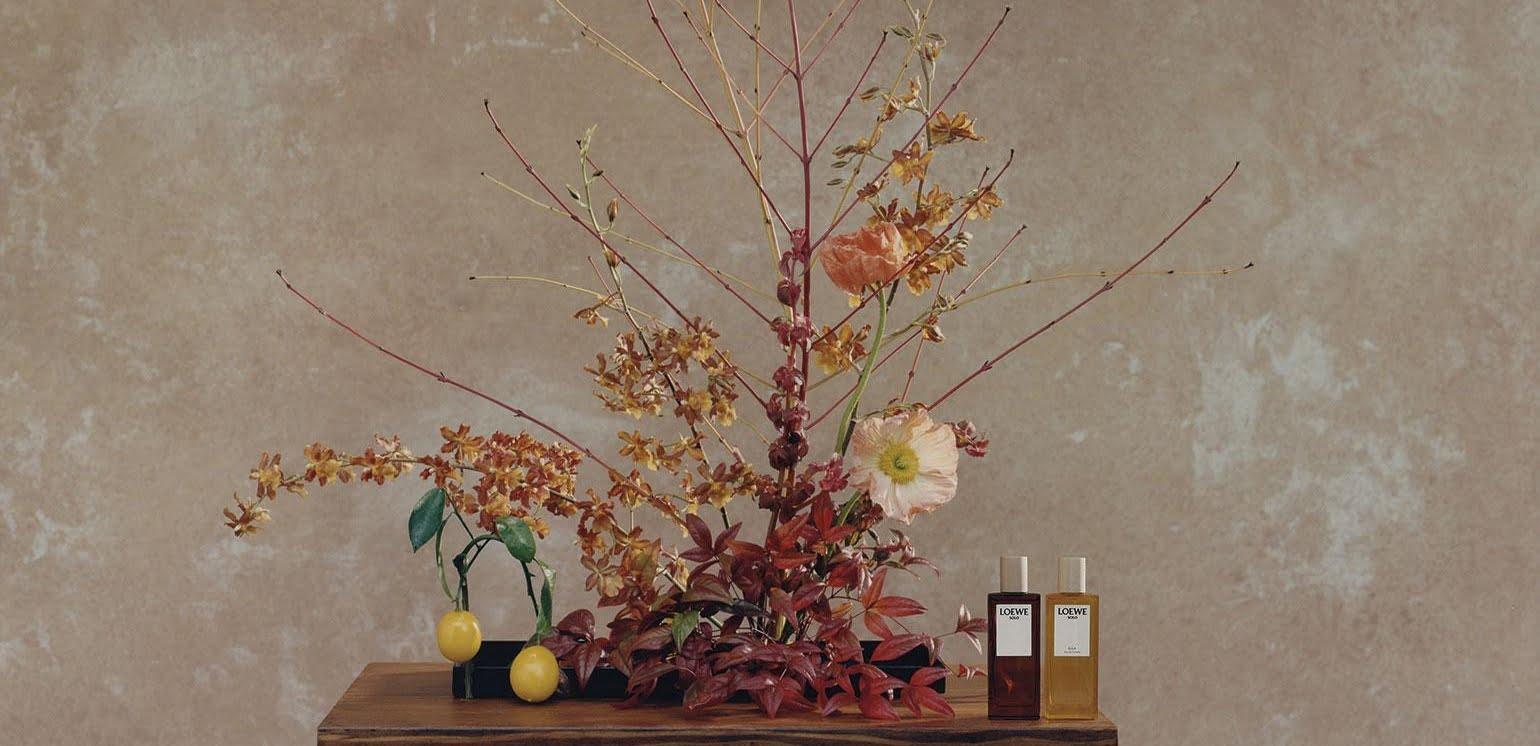 Modern Notes of Loewe