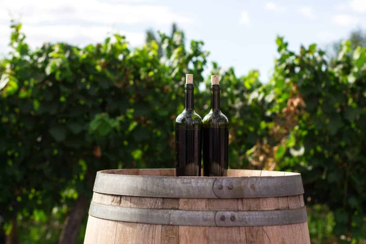 The 2021 Grape Harvest: The Best 6 Destination and Festival Calendar The 2021 Grape Harvest: The Best 6 Destination And Festival Calendar