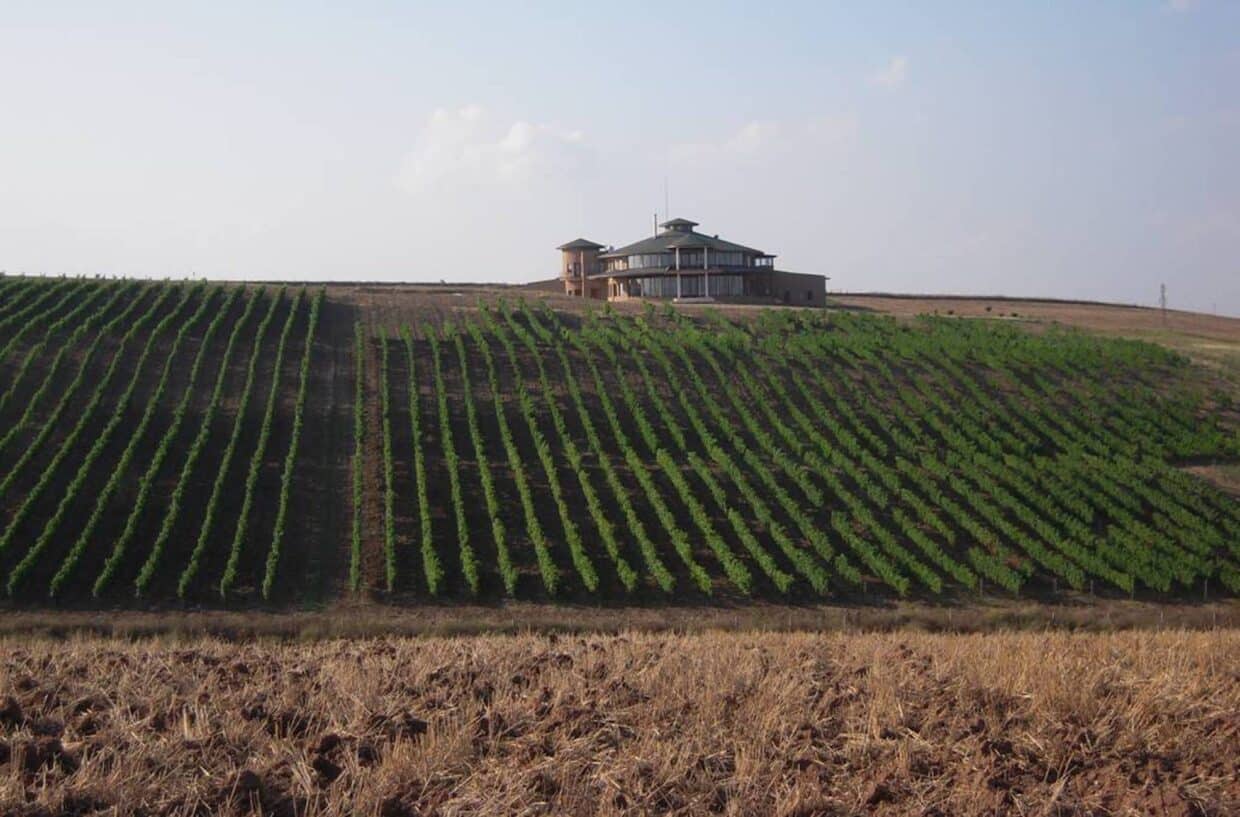 The Journey of a Wine Castle in Tekirdağ with Passion The Journey of a Wine Castle in Tekirdağ with Passion