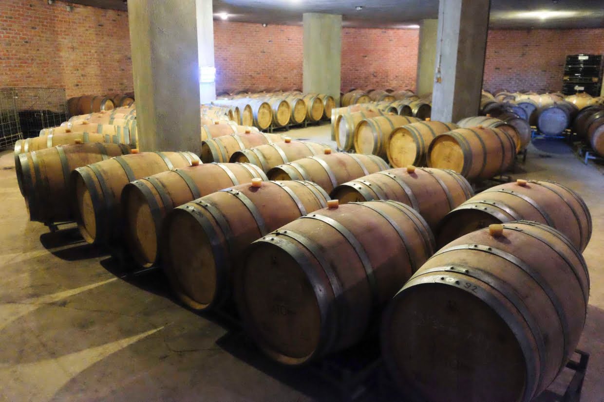 Chateau Nuzun: Tekirdağ’da Bir Şarap Şatosunun Tutkuyla Yolculuğu Chateau Nuzun: Tekirdağ’da Bir Şarap Şatosunun Tutkuyla Yolculuğu