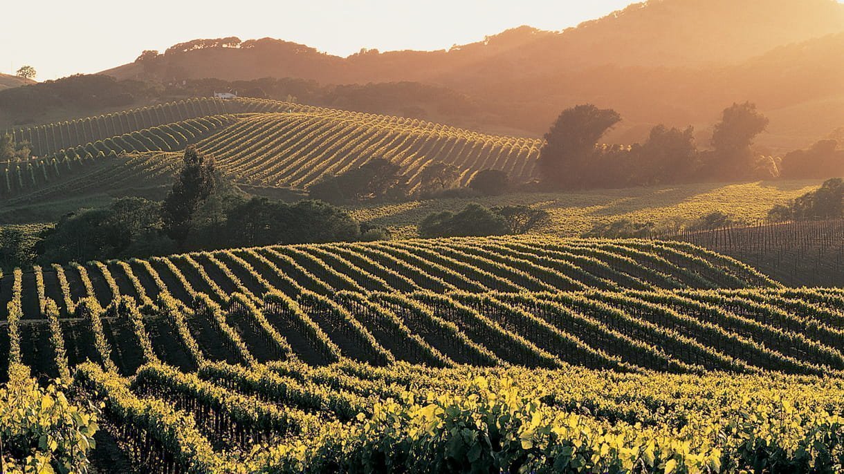 The 2021 Grape Harvest: The Best Wine Hotels In The World