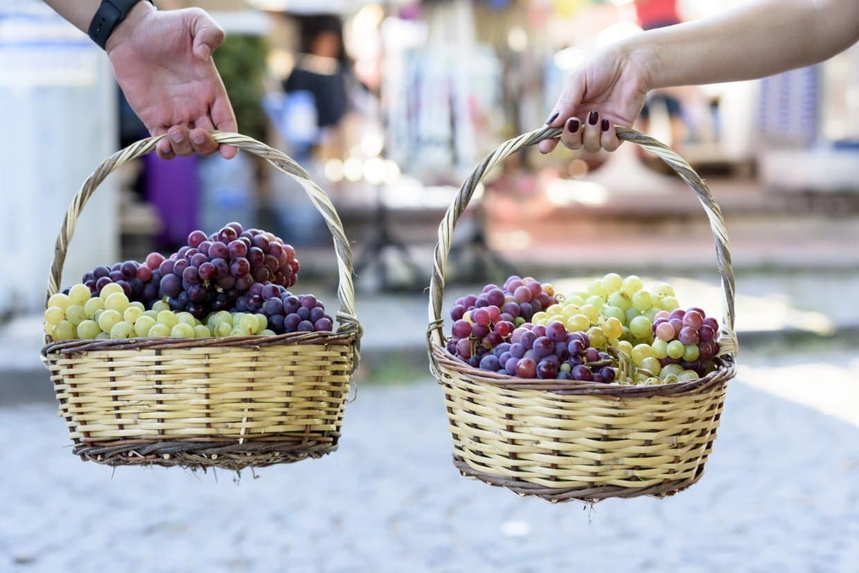 The 2021 Grape Harvest: The Best 6 Destination and Festival Calendar The 2021 Grape Harvest: The Best 6 Destination And Festival Calendar