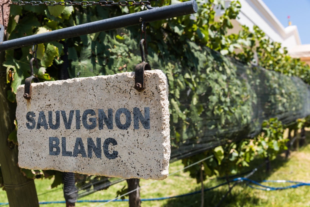 The 2021 Grape Harvest: The Best 6 Destination and Festival Calendar The 2021 Grape Harvest: The Best 6 Destination And Festival Calendar