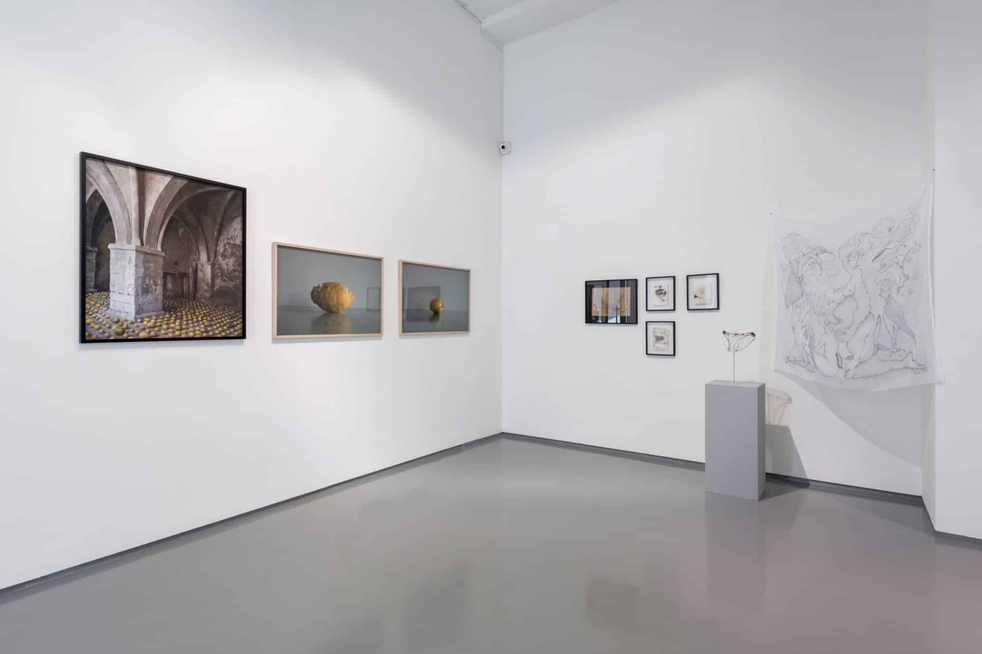 Zilberman'ın Yeni Bakış Açısı