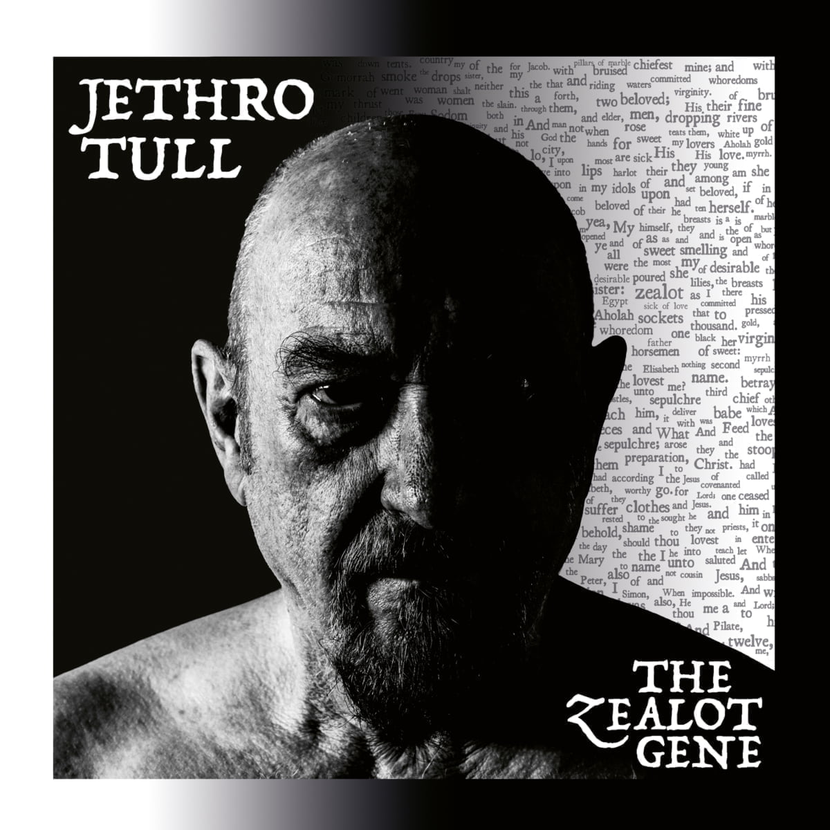 En İyi Zamanlara Dönüş: Jethro Tull Jethro Tull