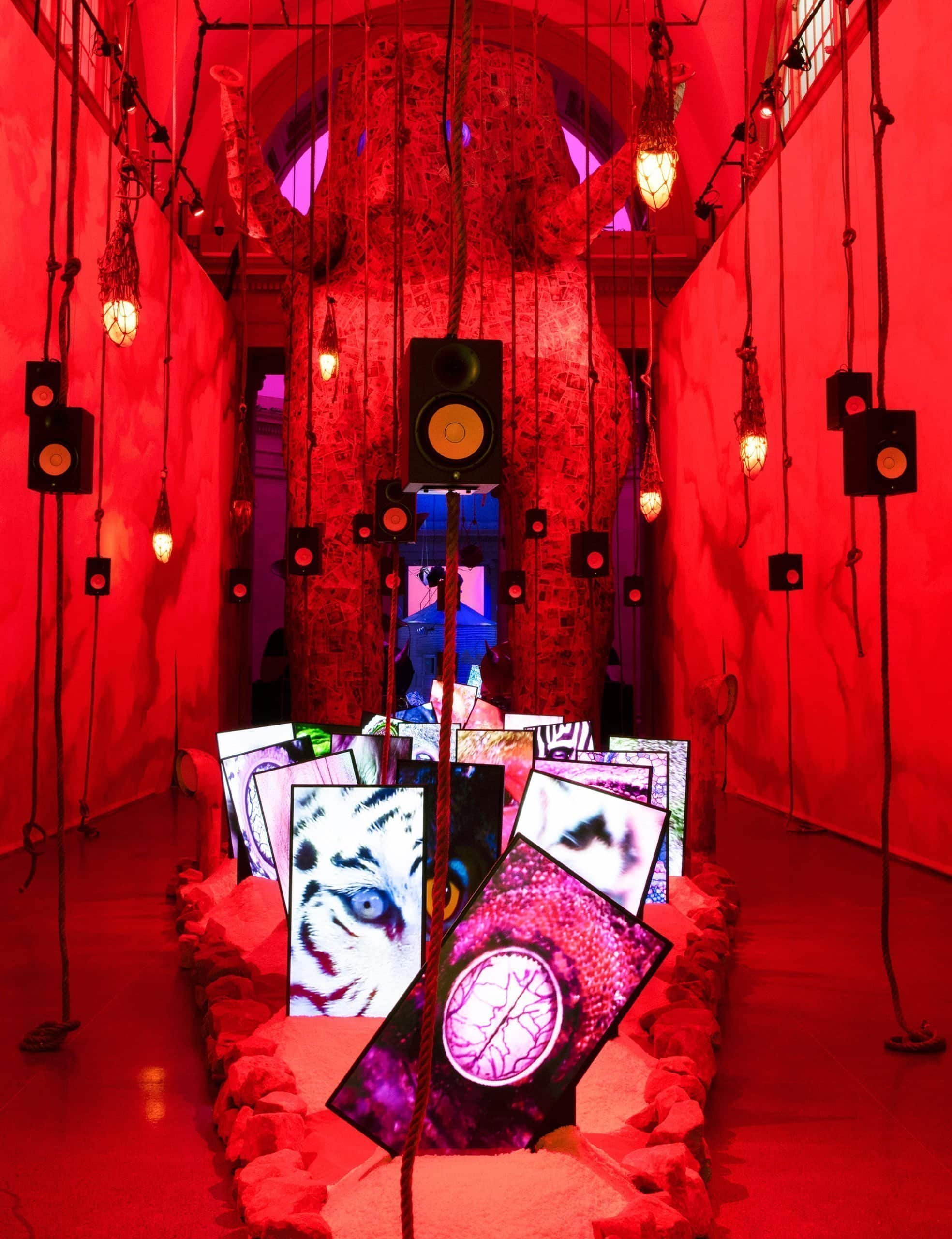 Where Does the Story Begin, Where Does It End?