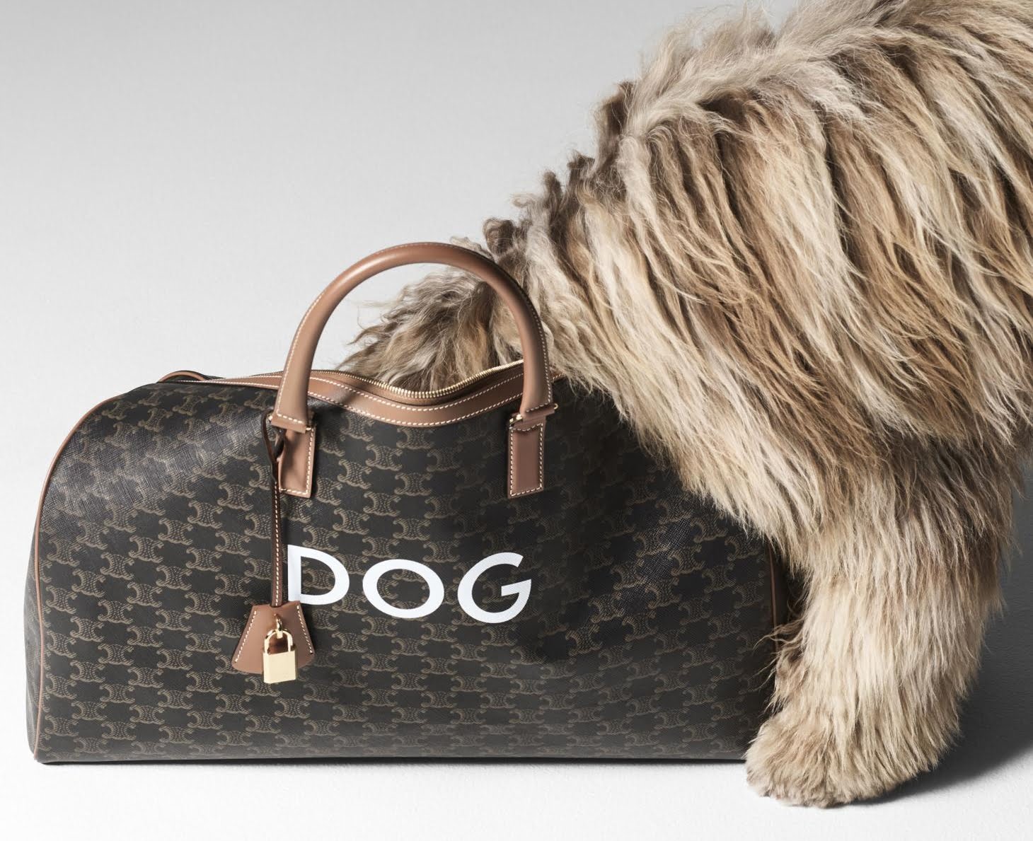 Hedi'nin En Yakın Arkadaşına İthafen