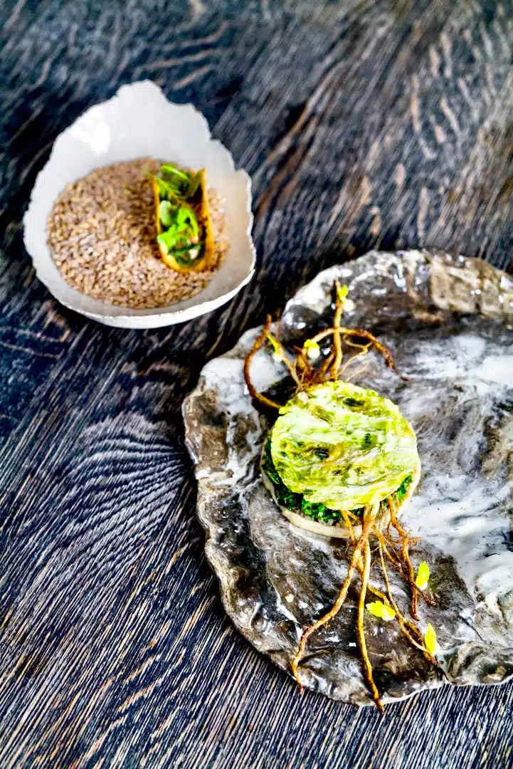 Michelin Sürdürülebilirlik Ödüllü İlk ve Tek Restoran: Seven Swans Michelin Sürdürülebilirlik Ödüllü İlk Ve Tek Restoran: Seven Swans