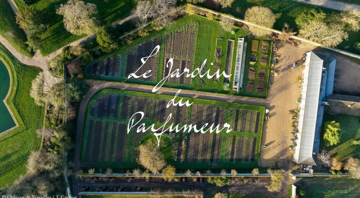 Koku Hafızasına Yeni Bir Anı; The Perfumer’s Garden Koku Hafızasına Yeni Bir Anı; The Perfumer’s Garden