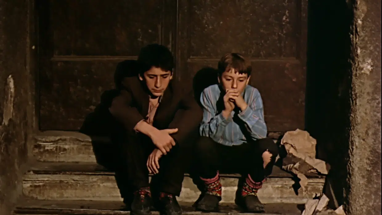 MUBI’de Bir Ömer Kavur Retrospektifi Mubi’de Bir Ömer Kavur Retrospektifi