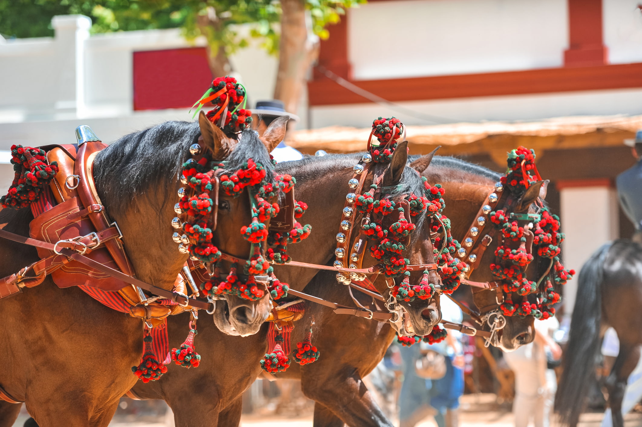 Sonbaharın Baş Döndüren 6 Şarap Festivali Sonbaharın Baş Döndüren 6 Şarap Festivali